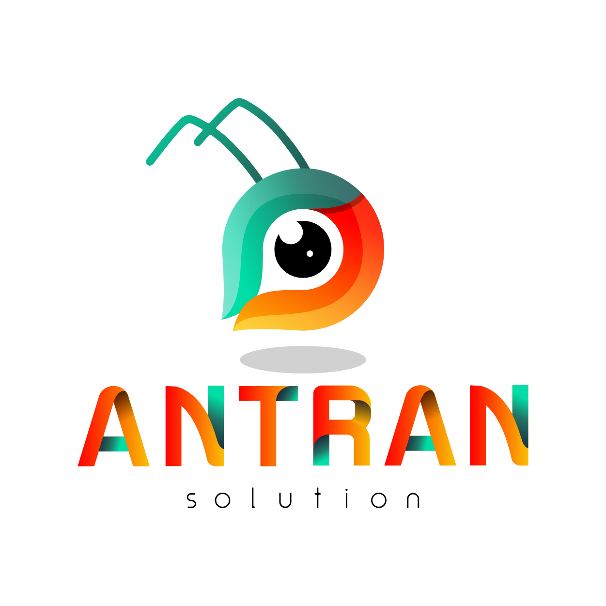 antran solutions